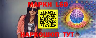 кокс Владимир