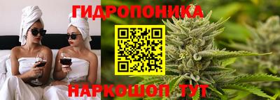 кокс Владимир