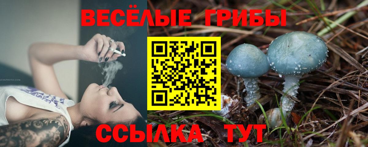 Вязьма  Галлюциногенные грибы Psilocybe  Вход с VPN  Псилоцибиновые грибы Cubensis 