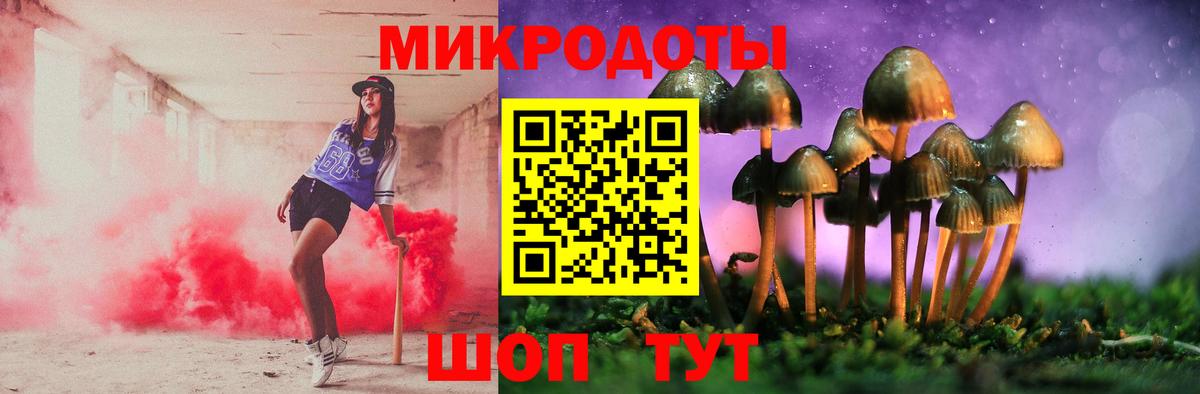 Псилоцибиновые грибы мухоморы Вязьма